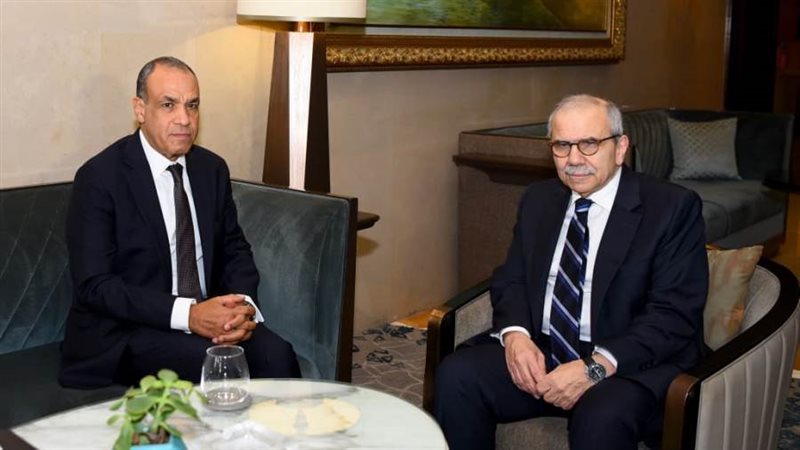 وزير الخارجية يلتقي