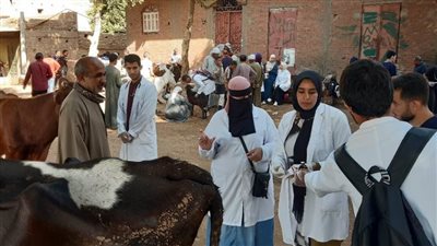 قوافل بيطرية تجوب قرى أسيوط خلال أكتوبر وتعالج نحو 3 آلاف رأس ماشية و6 آلاف دواجن
