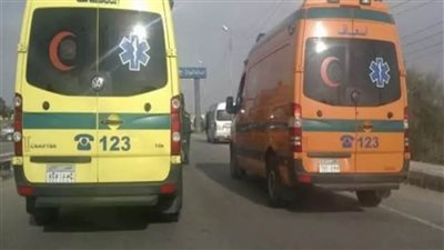 إصابة 24 تلميذًا بحالة إعياء نتيجة تناولهم تطعيم البلهارسيا بمدرسة اللوقا في أسيوط