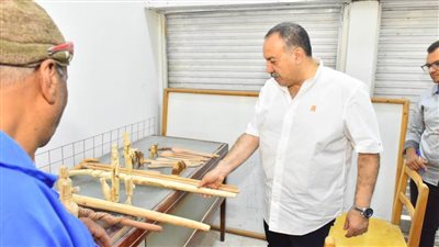 محافظ أسيوط يتفقد مركز 