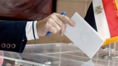 الجالية المصرية بالخارج: المشاركة في انتخابات 