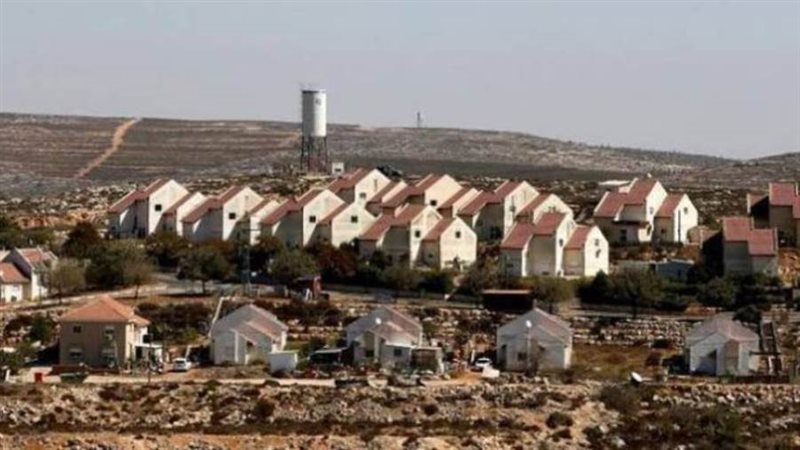 بناء وحدة استعمارية