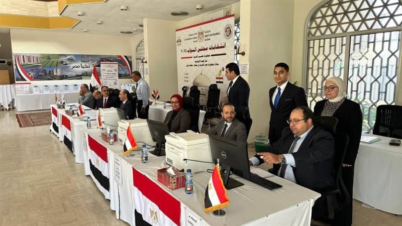 انتخابات النواب بالخارج