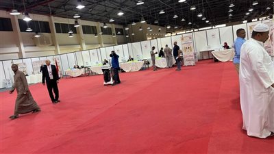 سفير مصر في بيروت: مشاركة متميزة للمصريين في انتخابات النواب بفضل التنسيق مع السلطات اللبنانية