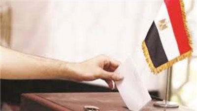 الجالية المصرية في الأردن تؤكد: المشاركة في انتخابات النواب واجب وطني لا يسقط بالغربة