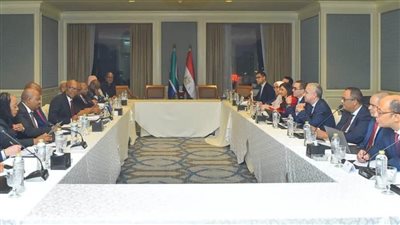   وزيرا الاستثمار والتجارة المصري والجنوب إفريقي يبحثان تعزيز التعاون الاقتصادي  بين البلدين