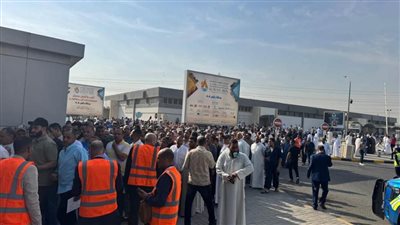  تقرير حقوقي يوثق كثافة إقبال المصريين على لجان الاقتراع بالخارج