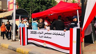 إقبال كثيف من أهالي الدقي على لجان التصويت في انتخابات مجلس النواب