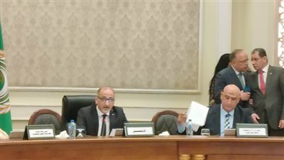 مندوب فلسطين: نثمن جهود مصر لعقد المؤتمر الدولي الخاص بإعادة إعمار غزة