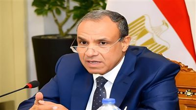 وزير الخارجية: القيادة المصرية لديها إصرار للتركيز على القوة الناعمة 