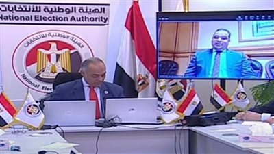  352 لجنة فرعية تواصل أعمالها بانتخابات مجلس النواب بقنا 