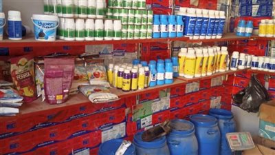 محافظ أسيوط يؤكد استمرار الحملات على المخابز والأسواق وتحرير ٣٣٩ محضرًا