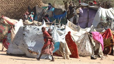 البعثة الأممية لتقصي الحقائق تطالب بوقف الحرب وحماية المدنيين في الفاشر السودانية