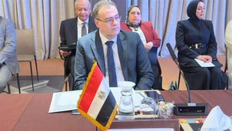 رئيس التنظيم الإدارة