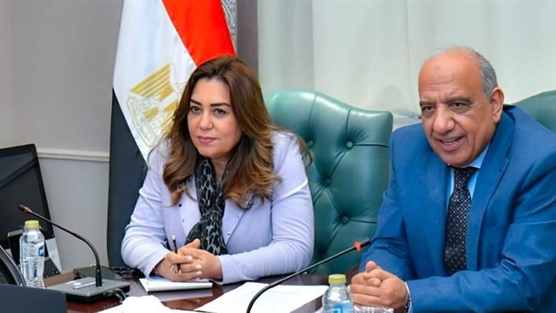 الدكتور محمود عصمت