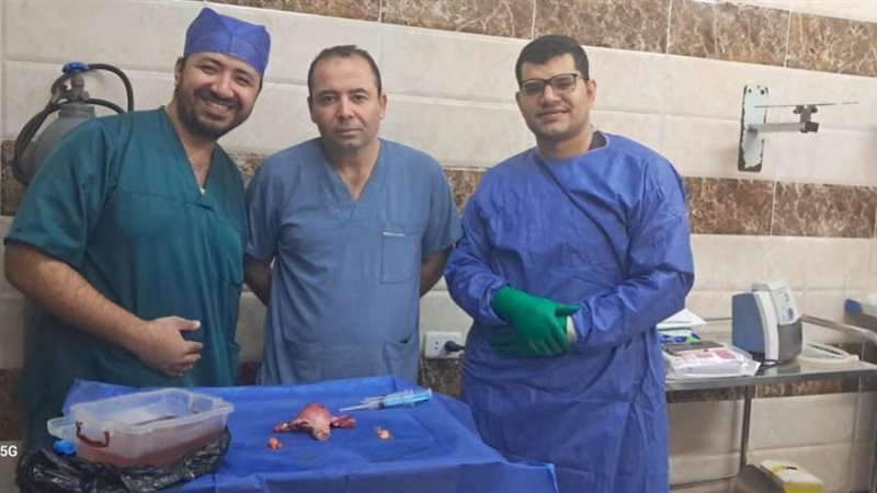 الفريق الطبى