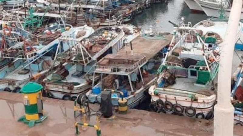 بوابة روز اليوسف