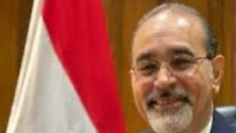 السفير وائل حامد