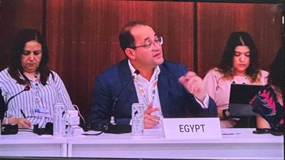 كجوك: مصر تستثمر في المستقبل بمشروعات تنموية أكثر استدامة وتكيفًا مع المناخ