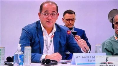 وزير المالية: تعزيز الجهود الدولية بتحويل التعهدات المناخية إلى خطوات عملية ملموسة 