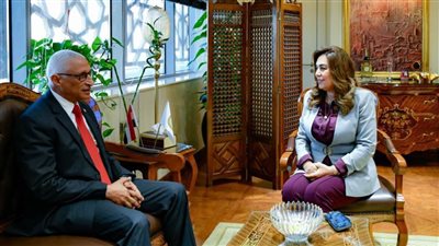 وزيرة التنمية المحلية تبحث مع محافظ شمال سيناء المشروعات التنموية والخدمية 