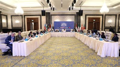  مصر تستعرض إنجازاتها في التحول الرقمي والصحة العامة باجتماع مجموعة الثماني