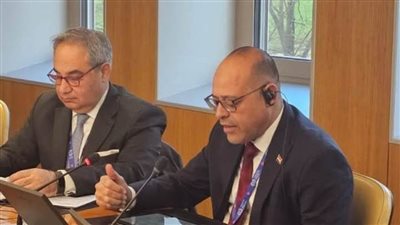 وزير العمل يلتقي مدير منظمة العمل الدولية بجنيف