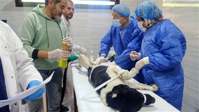 انطلاق مبادرة 