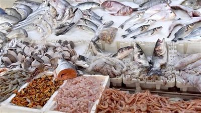 الحظر الصيني للمأكولات البحرية يضاعف الضغوط الاقتصادية على اليابان