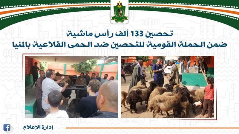 تحصين الماشية