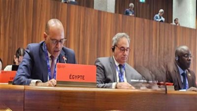 مصر تؤكد الحقوق المشروعة للشعب الفلسطيني في مجلس إدارة منظمة العمل الدولية
