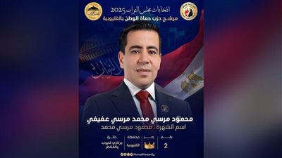 قليوب والقناطر تنتفض.. وسط حشد غير مسبوق.. المؤتمر الانتخابى لمجلس النواب للمرشح المهندس محمود مرسي