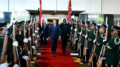 رئيس الوزراء يصل 