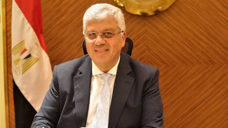 الدكتور أيمن عاشور