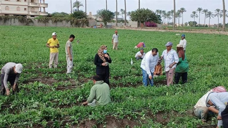 الإرشاد الزراعي