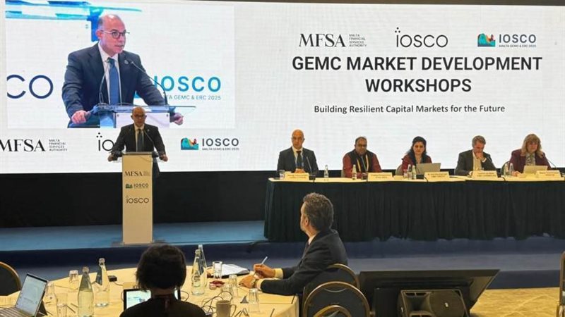 ورشة عمل سوق الرقابة