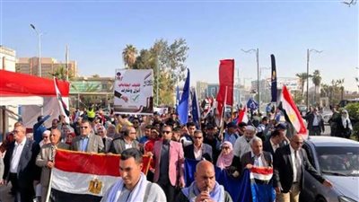 العلم المصري..