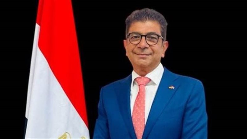 رئيس المنظمة المصرية