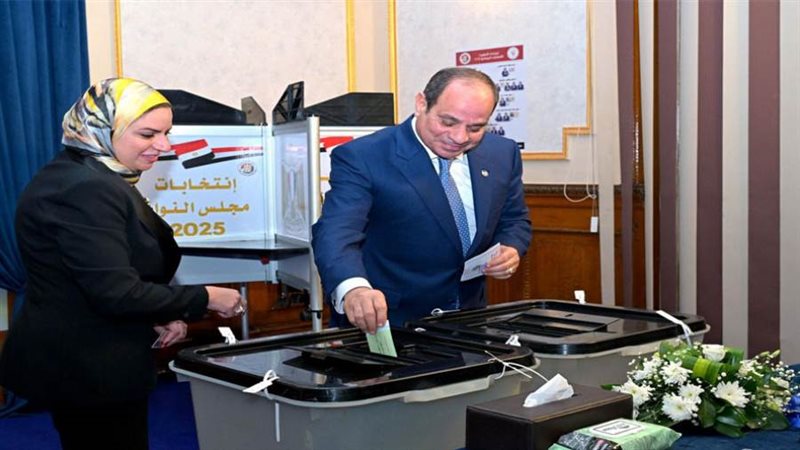 الرئيس السيسي يدلي