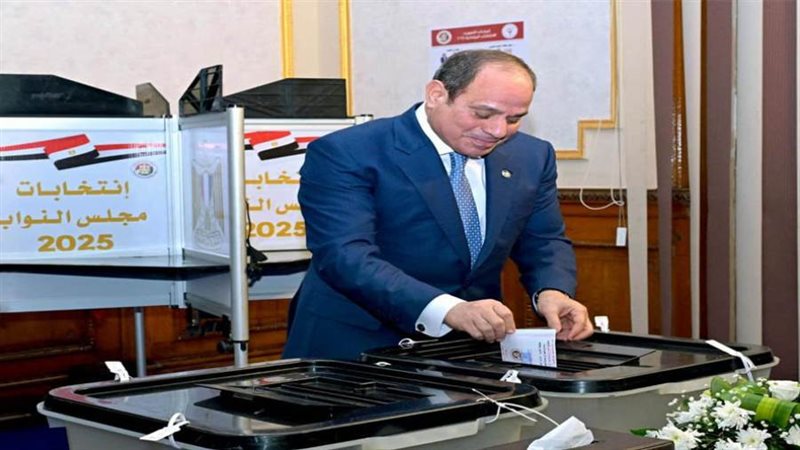 الرئيس السيسي يدلي