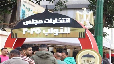 بدء الاقتراع في اليوم الثاني والأخير من المرحلة الثانية لانتخابات مجلس النواب