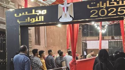 تواصل توافد الناخبين في لجان المعادي ودار السلام والبساتين بانتخابات مجلس النواب