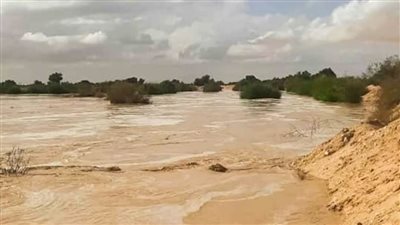 وزير الري يتابع موقف التعامل مع الأمطار بالبحر الأحمر وشمال سيناء مؤخرًا