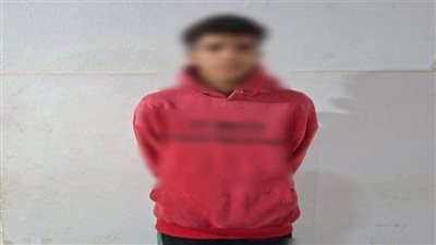 الأمن يكشف ملابسات فيديو اعتداء شاب على سيدة بالمنوفية بسبب خلافات الجيرة 