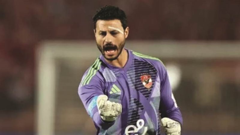 محمد الشناوي