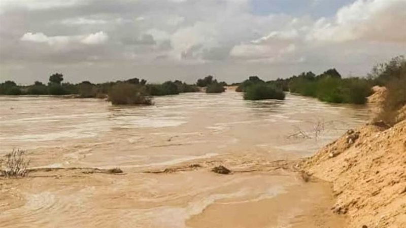 ناتج الأمطار