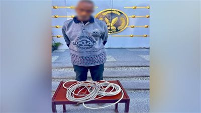 ضبط مرتكب واقعة سرقة أسلاك كهربائية من عمود إنارة ببورسعيد