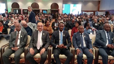 وزير قطاع الأعمال: العلاقات المصرية الجزائرية قوية وراسخة وتمثل نموذجًا للتكامل العربي والأفريقي