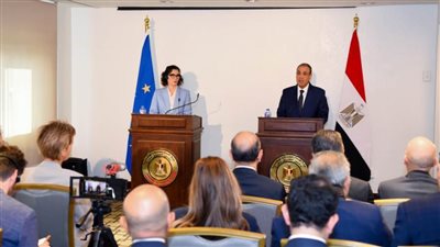 وزير الخارجية: لم يخرج مهاجرون غير شرعيين من الموانئ المصرية منذ 2016