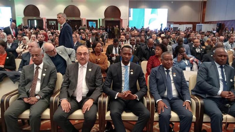 المهندس محمد شيمي